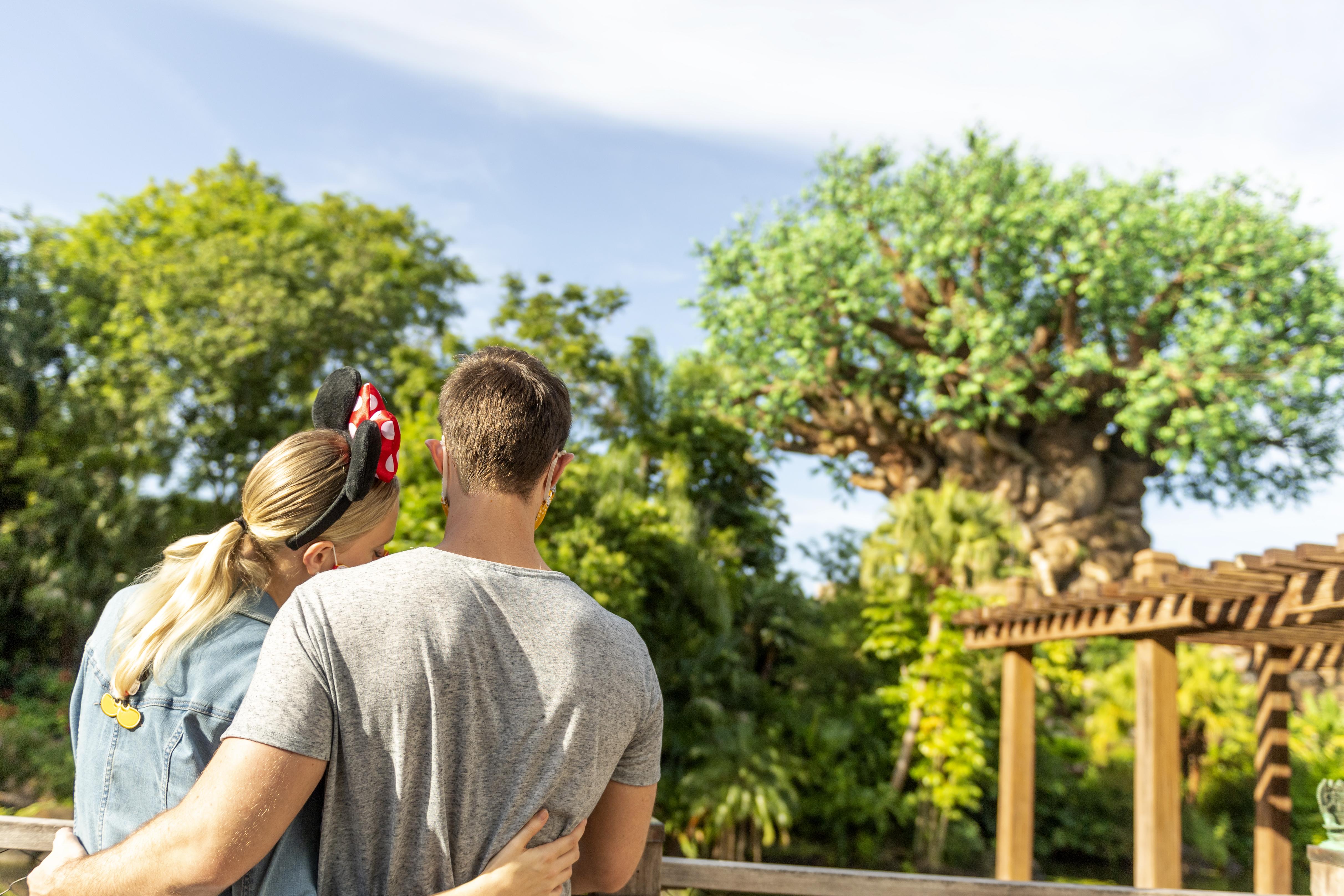 Boulder Ridge Villas At Disney'S Wilderness Lodge Lake Buena Vista Bagian luar foto